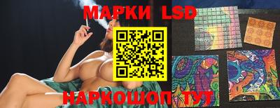 мяу мяу мука Краснознаменск