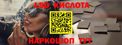 мяу мяу мука Краснознаменск