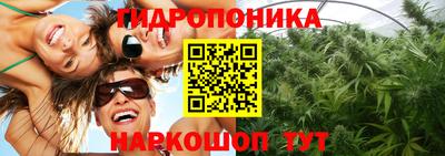мяу мяу мука Краснознаменск