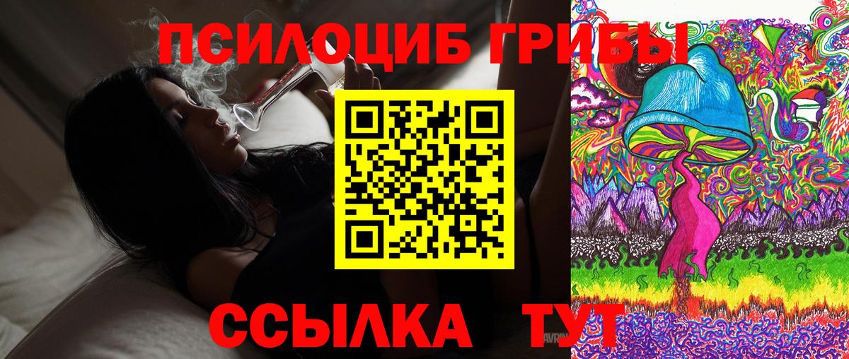 Псилоцибиновые грибы GOLDEN TEACHER  Вход с VPN  Галлюциногенные грибы Psilocybine cubensis  Кимры 
