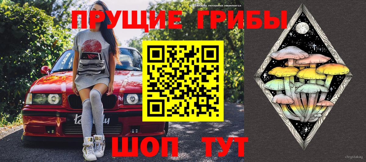 Псилоцибиновые грибы Cubensis Кимры